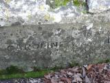 image of grave number 240899
